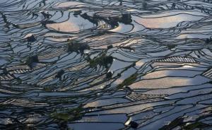 脆弱的東南亞大城市是“一帶一路”機遇，能促成深度利益交織