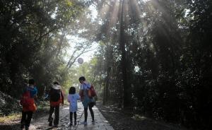 中国今年起试点领导干部自然资源资产离任审计，要算环保账