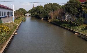 綠色曙光｜上海金山兩河流“換血”治污，3個月由黑變清