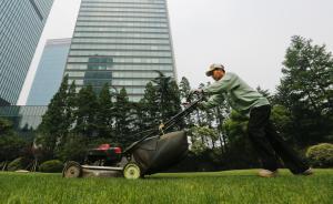 中共上海市綠化和市容管理局黨組關于巡視整改情況的通報