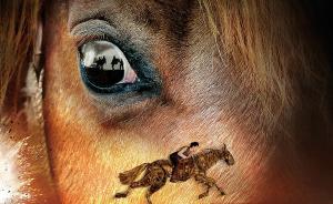 “《戰(zhàn)馬》襲心”招募志愿者：記錄下你的每一次動(dòng)心