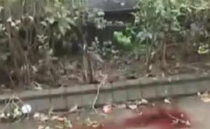 上海一國際高中女生高墜身亡，室友稱其從宿舍外空調(diào)架上失足