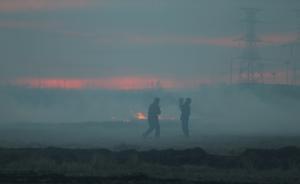 环保部：秸秆焚烧是东北重污染主因之一，贡献率14-55%