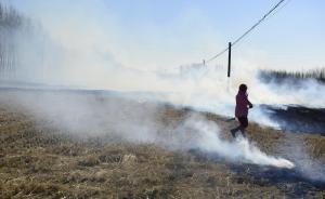 环保部卫星监测：上周全国疑似秸秆焚烧火点93%在黑龙江