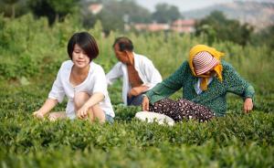 曾毅：農民養育女兒在老年所得回報優于養育兒子
