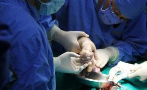 全球最大“克隆工廠”落戶天津：要建動物克隆實驗室流水線