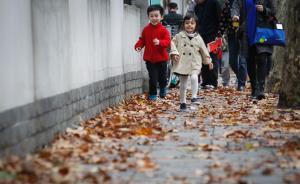上海“落叶不扫”再增6条路段：留下美景，生活垃圾改扫为捡