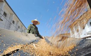 國(guó)家糧食局整治“打白條”:收糧點(diǎn)須按發(fā)票當(dāng)場(chǎng)支付農(nóng)民糧款