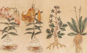 專訪成都中醫(yī)藥大學(xué)教授王家葵：小說里的春藥蒙汗藥真有效嗎