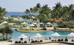 新华社评“三亚酒店限价令”：用一根缰绳拴住一群马行不通