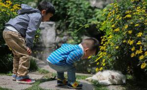 计划生育法拟删除独生子女奖励，夫妻可自主选择避孕节育措施