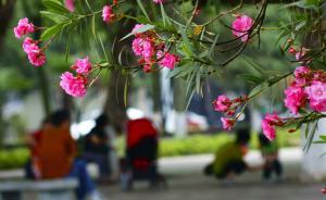 邱兵專欄：重逢