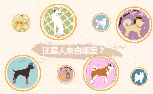 冷知識|知道汪星人的馴服史，你也能懂為什么狗呆萌貓高冷了