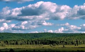 三北防護林影響風速就有了霧霾？國家林業局反駁：無科學根據