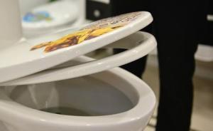 潔廁塊污水回流自來水管致癌乃謠言，馬桶不合格為主因