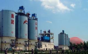 山水水泥新旧股东宫斗戏仍在上演，前任董事携黑帮闯办公室