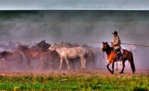 长安街知事：这几位高官进步快，是因为他们身份特殊？