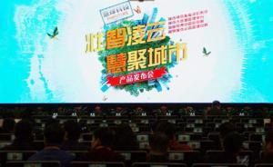 大股東杠桿增持接連爆倉：慧球科技實際控制人已被平倉