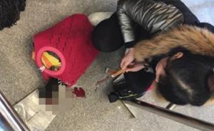 成都火車(chē)東站一女子帶活鴨過(guò)安檢被拒，現(xiàn)場(chǎng)借刀宰鴨