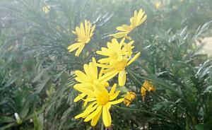 看见看不见③｜听声按快门，盲人“看到”的世界很走心