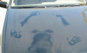 广西一副乡长被曝与有夫之妇车震：违反社会公德被处分并免职