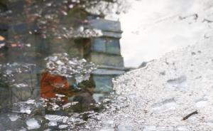 严寒“冻伤”上海大量水管，委员建议共享大数据应对极端天气