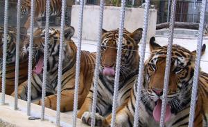 白恩培、武長(zhǎng)順等“大老虎”將在河南受審，系最高法指定