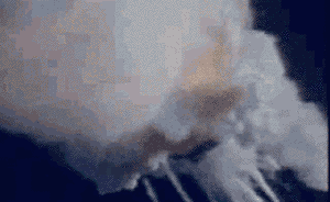 “坎坷之路，終抵群星”：圖憶挑戰(zhàn)者號航天飛機失事30周年