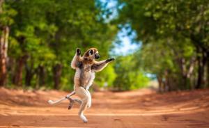 A股猴年首秀：滬指低開高走跌0.63%，成交再創(chuàng)年內(nèi)新低
