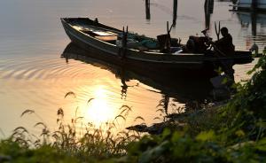 返乡笔记：我们为什么要假装“幸福”？