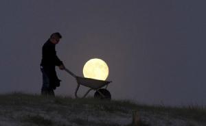 基層干部手記|趁著過年返鄉(xiāng)說媒:豫東農(nóng)村青年的相親江湖