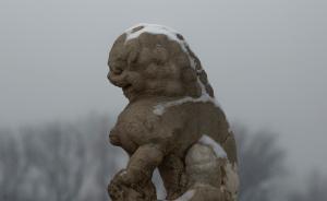 中巡組巡視32家單位也搞定制服務(wù)：分三類，三個標準衡量