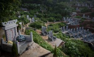 九部门：鼓励家庭成员合葬，查处领导干部去世后超标建墓立碑