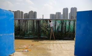 侠客岛：小区拆墙，拆的是一些机关大院和某些人的权力优越感