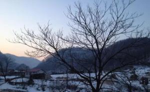 新華社：《一個(gè)病情加重的東北村莊|返鄉(xiāng)日記》系虛構(gòu)杜撰