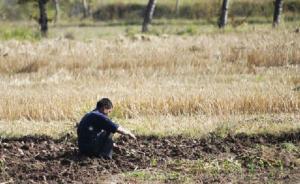 農(nóng)村剩男調(diào)查：被溺棄被流產(chǎn)，30年逾兩千萬(wàn)女性“失蹤”