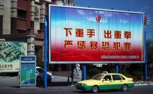 公安部反恐專員劉躍進(jìn)：新疆個(gè)別地區(qū)暴恐事件仍偶有發(fā)生