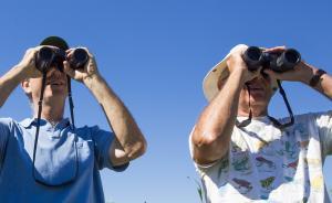 见微知著，中纪委征集“清廉中国”微视频讲述清廉故事