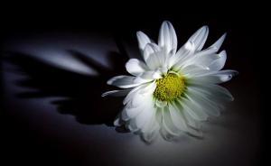 黑龙江省政协原副主席、省委统战部原部长孟传生逝世