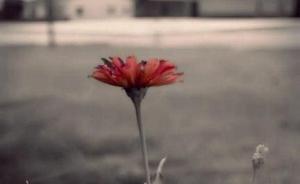 一位工友的返鄉(xiāng)日記：春節(jié)回家后，為什么我看到了農(nóng)村的希望