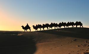 代表建議調整高校外語教育結構，為一帶一路培養(yǎng)小語種人才