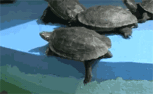 海上志怪｜有心機(jī)的女鬼