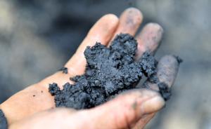 俠客島：一個龍煤背后的時代難題