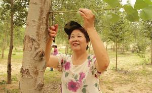 上海種樹母親獲澎湃和阿里2萬獎勵(lì)：沙漠種的樹都是我的孩子