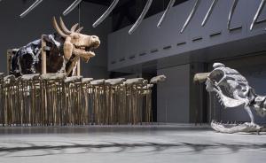 黃永砅個展《蛇杖Ⅲ：左開道岔》：藝術(shù)本就是畫蛇添足