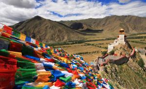 中國西藏網(wǎng)刊文：治邊穩(wěn)藏不能相信達(dá)賴集團(tuán)會(huì)“繳槍歸順”