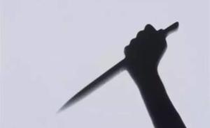 上海男孩被精神病患者刺死，小區(qū)保安未制止物業(yè)被判擔責兩成