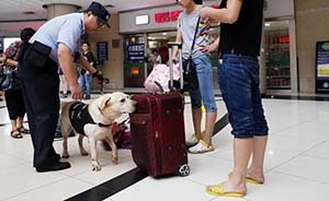 上海首次全市公共交通集中臨檢，警犬上公交車突檢嗅爆