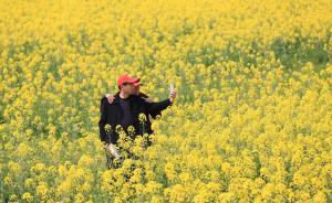 高淳將制定國際慢城中國標準，55條準則打造“慢體驗系統(tǒng)”