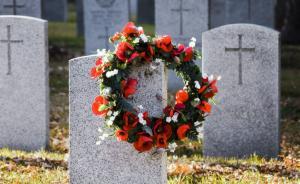 為什么用罌粟花紀(jì)念陣亡戰(zhàn)士？